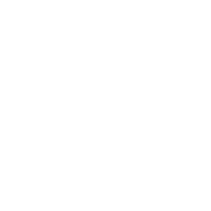 Home 1 Feature Icon 3